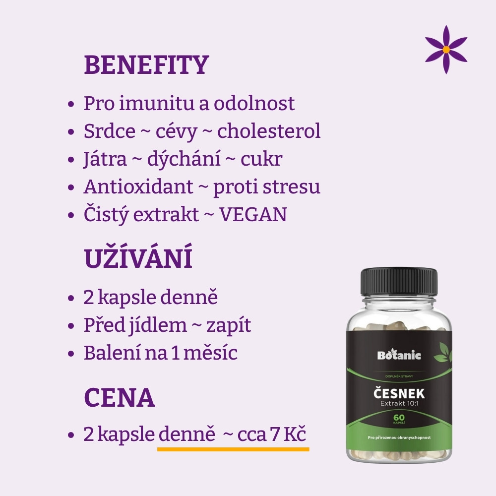 Česnek ~ extrakt vegan kapsle ~ Benefit, užívání a cena za den