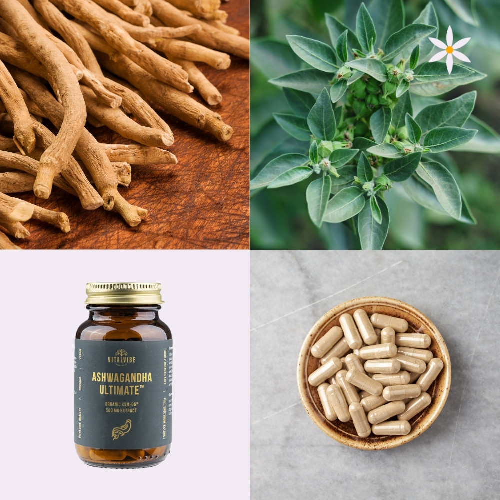 Ašvaganda extrakt vegan kapsle ~ další produktové fotografie