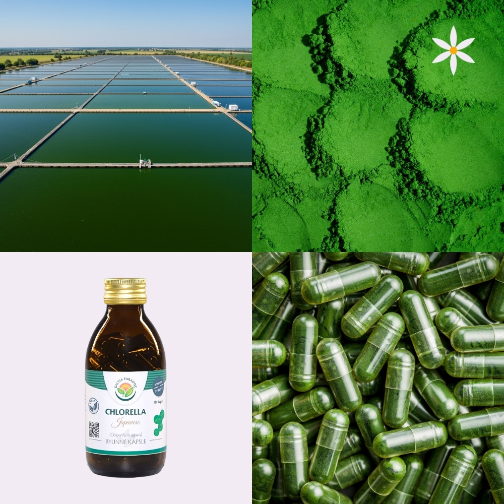 Japonská chlorella ~ vegan kapsle ~ Další produktové fotografie