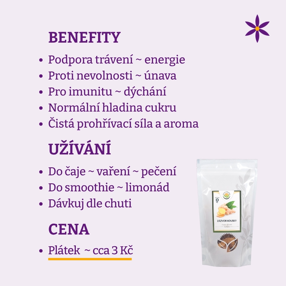 Zázvorové sušené plátky ~ Benefit, užívání a cena za den