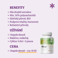 Čaga ~ vegan kapsle ~ benefity, užívání a cena za den Čaga ~ vegan kapsle ~ benefity, užívání a cena za den