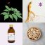 Ženšen pravý ~ vegan kapsle ~ další produktové fotografie Ženšen pravý ~ vegan kapsle ~ další produktové fotografie