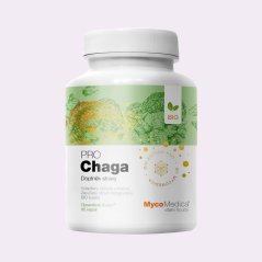 Čaga ~ vegan kapsle ~ čistá produktová fotografie