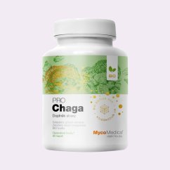 Čaga ~ vegan kapsle ~ čistá produktová fotografie