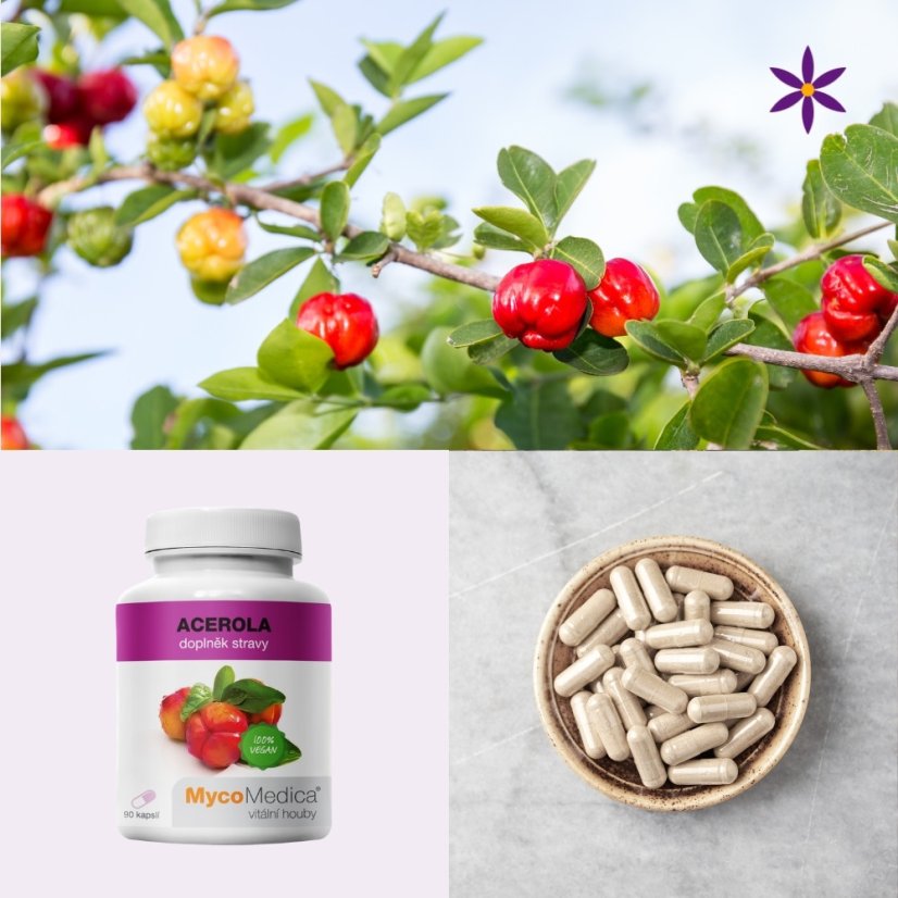 Čtvrtý produkt v balíčku ~ acerola ~ extrakt vegan kapsle 90 ks ~ barbadoská třešeň