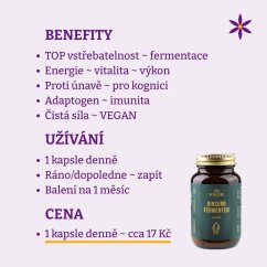 Ženšen ~ fermentovaný extrakt kapsle ~ benefity, užívání a cena za den Ženšen ~ fermentovaný extrakt kapsle ~ benefity, užívání a cena za den