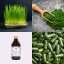 Mladý ječmen ~ vegan kapsle ~ další produktové fotografie Mladý ječmen ~ vegan kapsle ~ další produktové fotografie