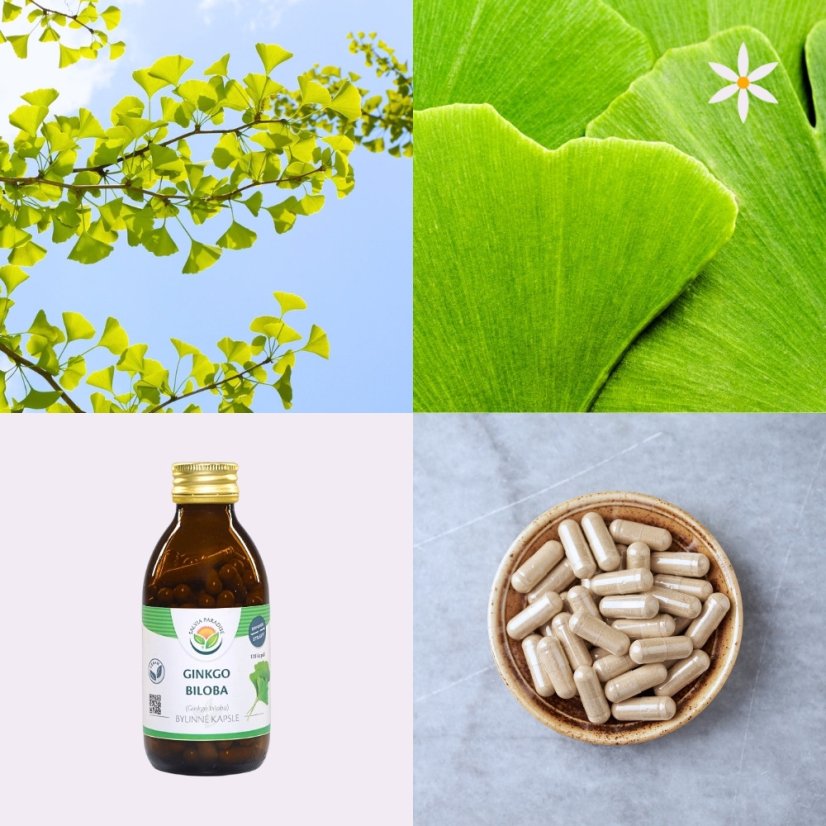 Ginkgo ~ vegan kapsle ~ další produktové fotografie