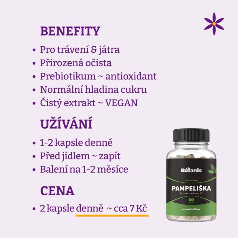 Pampeliška ~ extrakt vegan kapsle ~ benefity, užívání a cena za den 