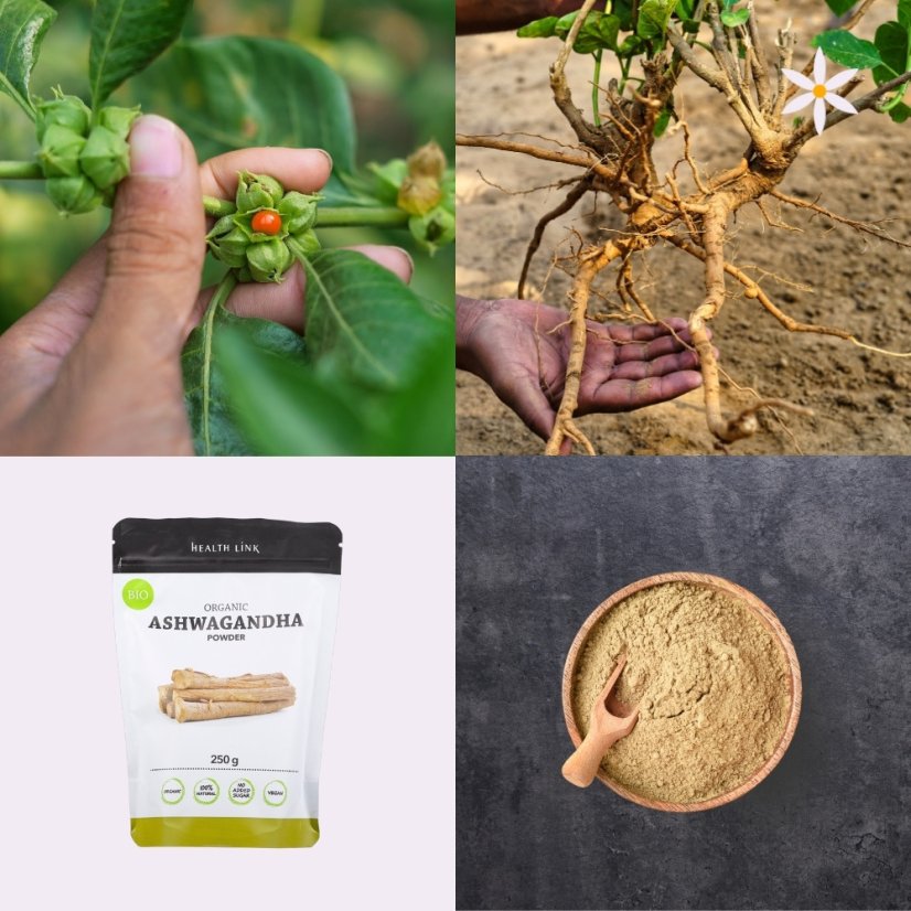Čtvrtý produkt v balíčku ~ ašvaganda ~ kořen mletý BIO 250 g ~ indický ženšen