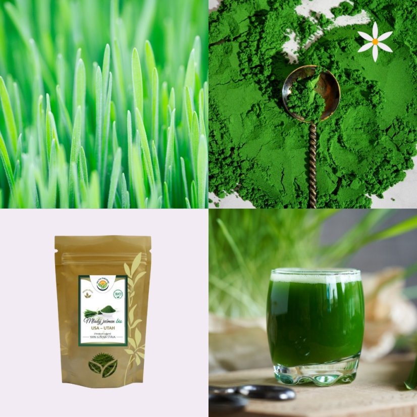 Třetí produkt v balíčku ~ mladý ječmen ~ BIO sušená šťáva 100 g ~ živý zázrak