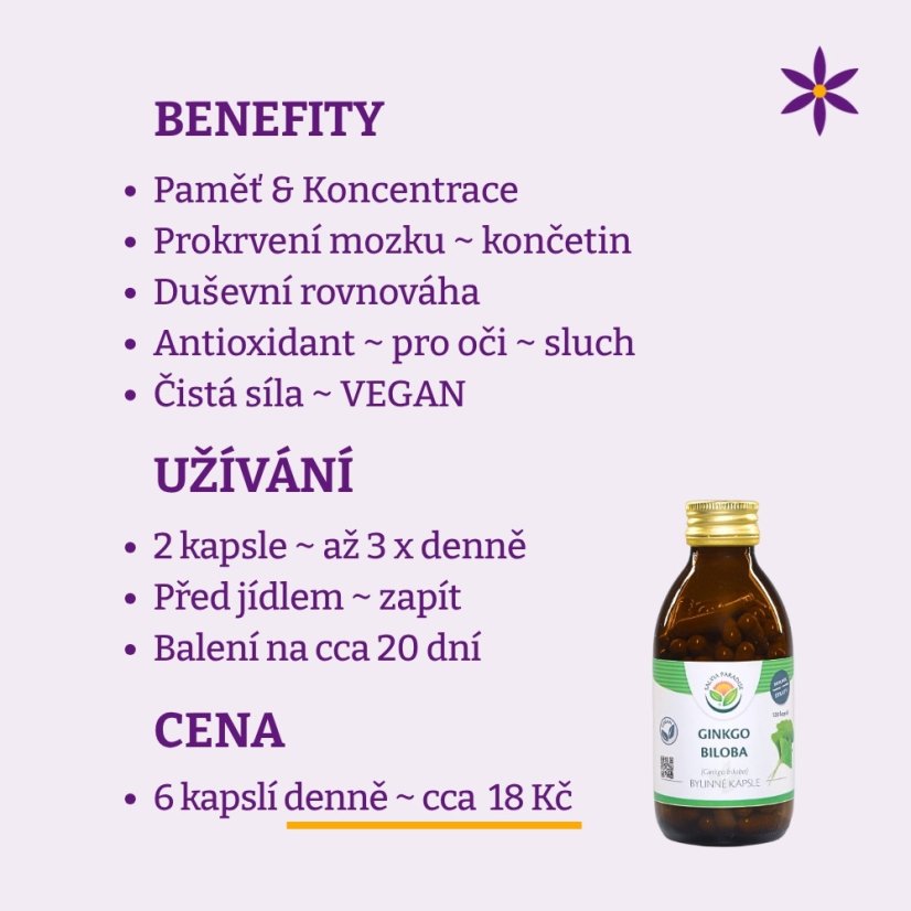 Ginkgo ~ vegan kapsle ~ benefity, užívání a cena za den