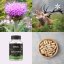 Maralí kořen ~ extrakt vegan kapsle ~ další produktové fotografie