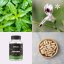 Právenka latnata ~ extrakt vegan kapsle ~ další produktové fotografie Právenka latnata ~ extrakt vegan kapsle ~ další produktové fotografie