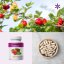 Acerola vegan kapsle ~ další produktové fotografie