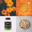 Měsíček lékařský ~ extrakt vegan kapsle ~ další produktové fotografie
