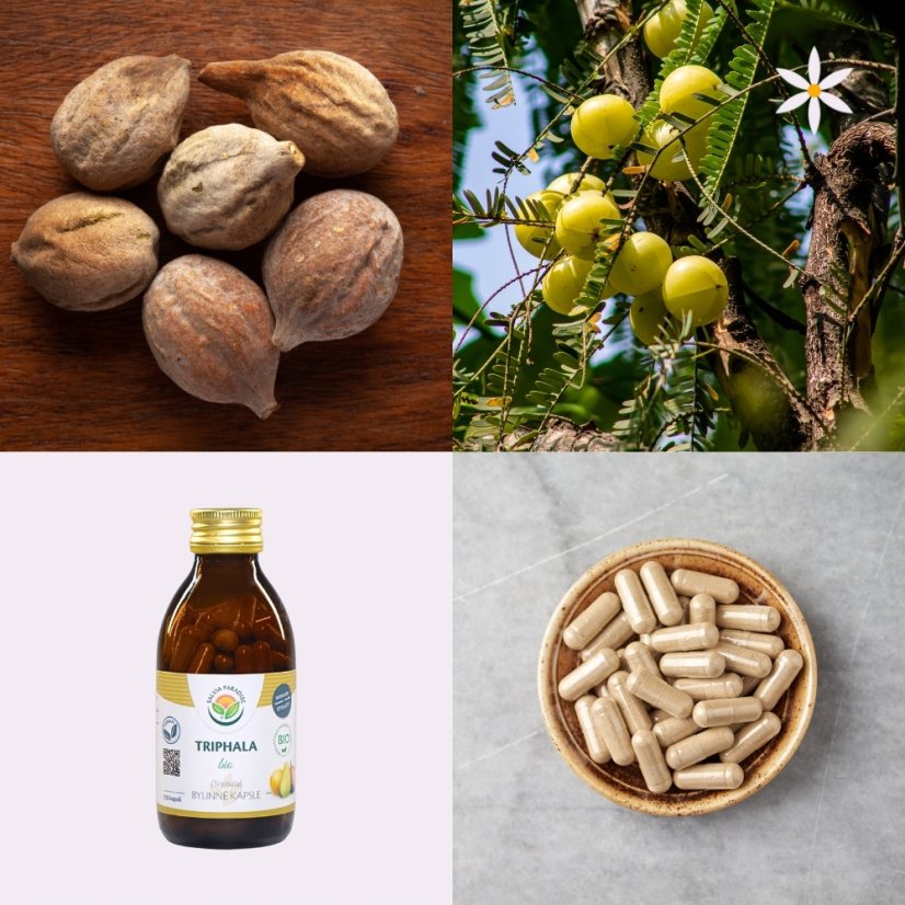 Třetí produkt v balíčku ~ triphala ~ vegan kapsle BIO 120 ks ~ svatá trojice