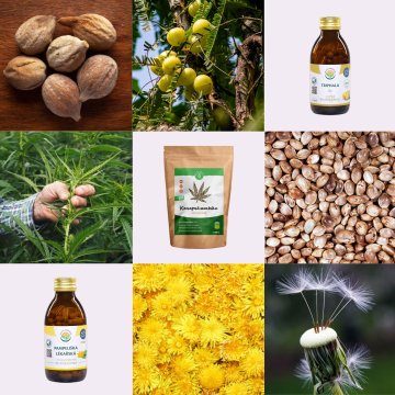 [3. díl ~ Tradiční doplňky] Vyřeš nekonečné problémy s trávením bez zbytečné námahy