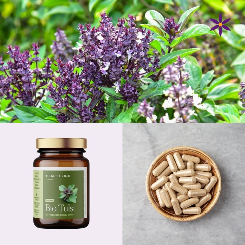 Tulsí vegan kapsle ~ další produktové fotografie