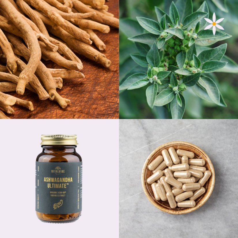 První produkt v balíčku ~ ašvaganda ~ KSM66 extrakt kapsle BIO 60 ks ~ klenot Indie