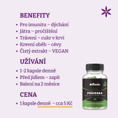 Právenka latnata ~ extrakt vegan kapsle ~ benefity, užívání a cena za den 