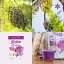 Acaí + banán ~ latte vegan nápoj 300 g ~ další produktové fotografie