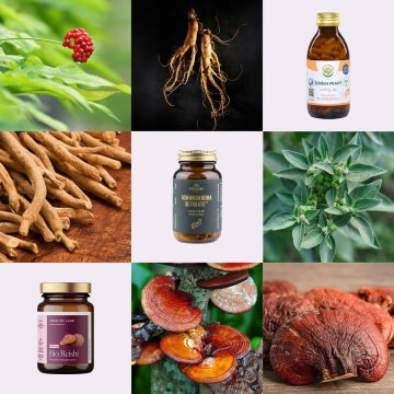 Stres ti krade energii? Objev sílu adaptogenů a získej ji zpět.