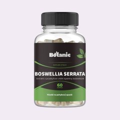 Boswellia serrata ~ čistá produktová fotografie