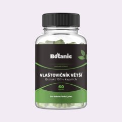 Vlaštovičník větší ~ čistá produktová fotografie