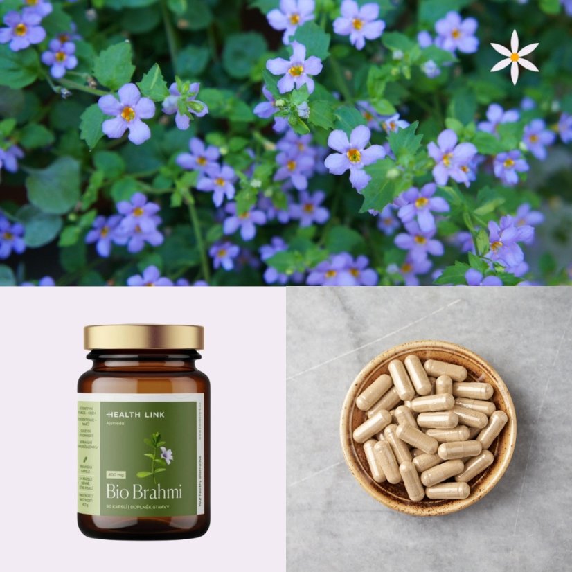 Pátý produkt v balíčku ~ brahmi ~ vegan kapsle BIO 90 ks ~ mentální pohoda