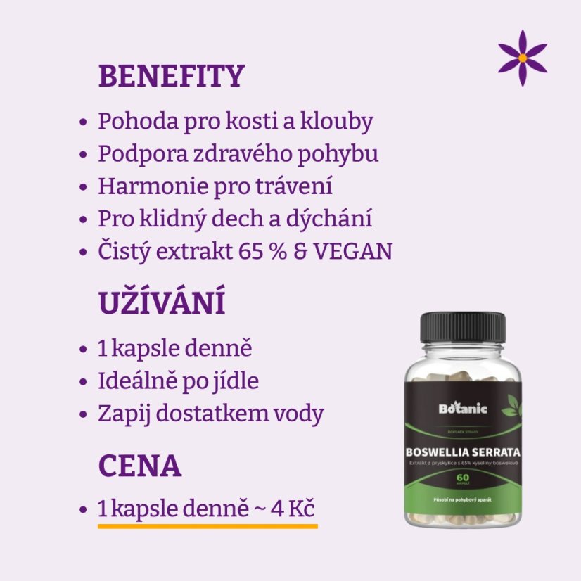 Boswellia serrata ~ čistá produktová fotografie