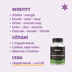 Kopřiva vegan kapsle ~ benefity, užívání a cena za den 