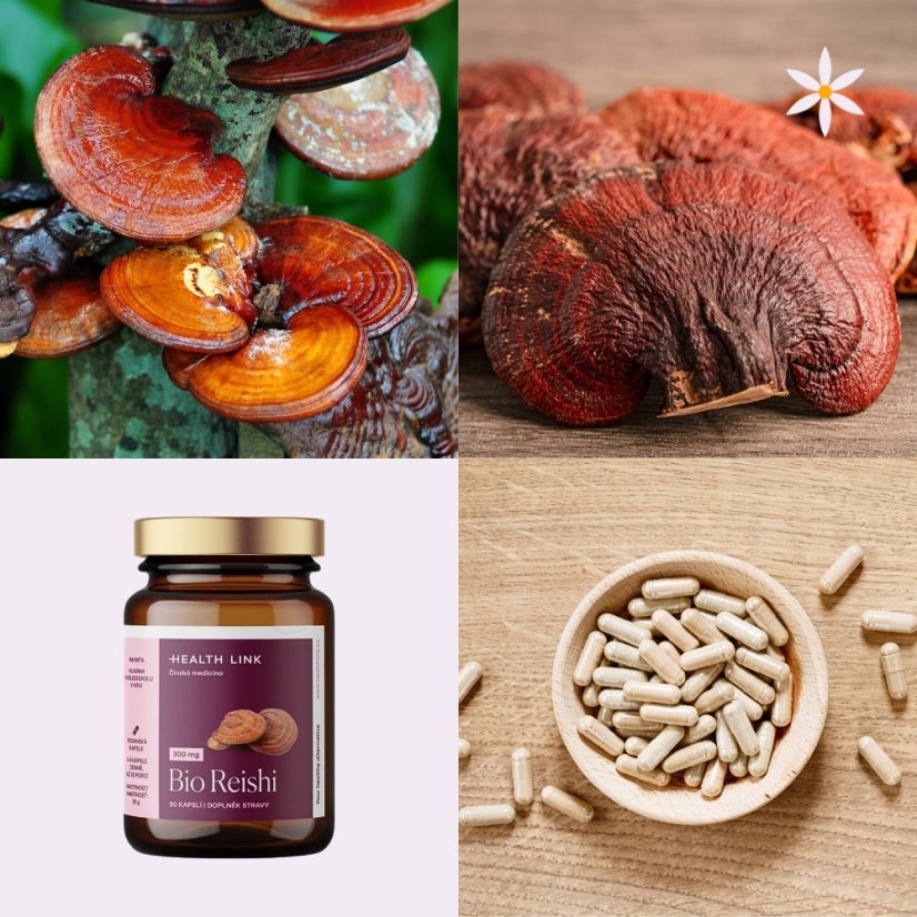 Reiši ~ vegan kapsle ~ další produktové fotografie