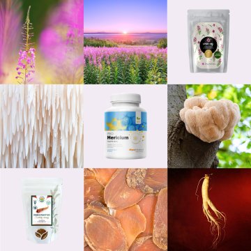 [4. díl ~ Prémiové doplňky] Zapomeň na chronický stres a vytvoř si v životě místo pro klid