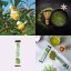 Matcha ~ latte vegan BIO nápoj ~ smaragdový prach - Hmotnost: 13 g