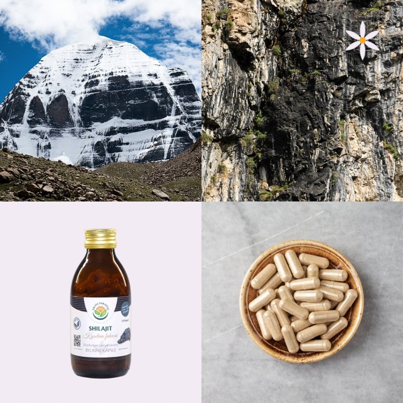 Shilajit ~ extrakt vegan kapsle ~ další produktové fotografie