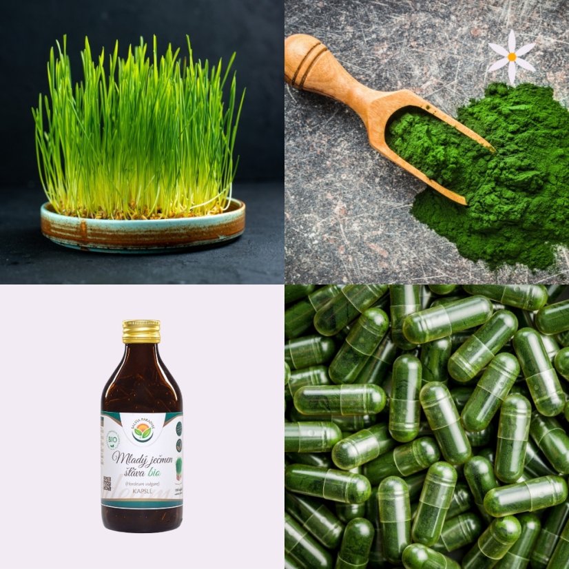 Mladý ječmen ~ vegan kapsle ~ další produktové fotografie