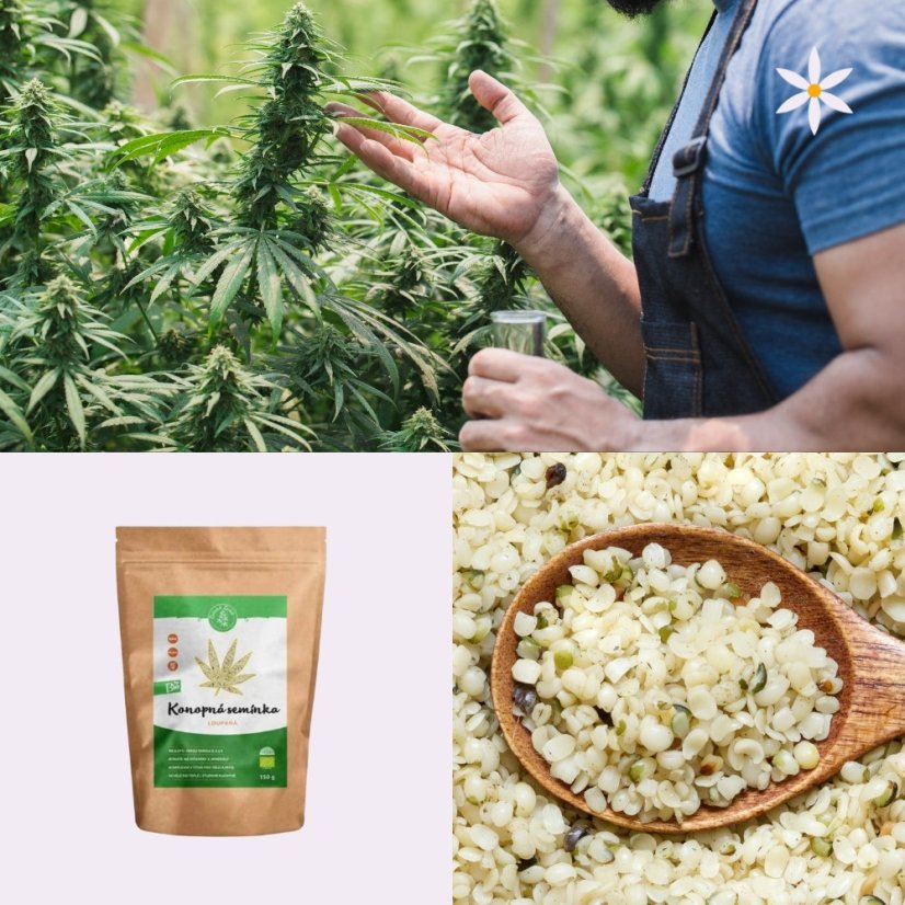 Druhý produkt v balíčku ~ konopné semínko ~ loupané BIO 500 g ~ výživový poklad