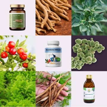 [3. díl ~ Tradiční doplňky] Zapomeň na chronický stres a vytvoř si v životě místo pro klid