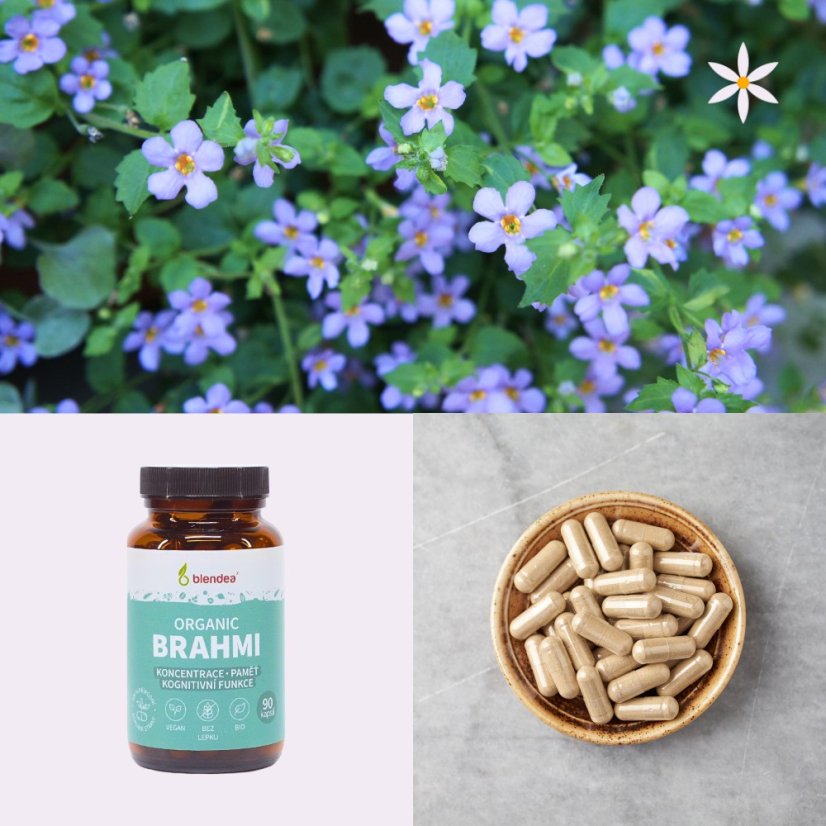 Pátý produkt v balíčku ~ brahmi ~ vegan kapsle BIO 90 ks ~ mentální pohoda