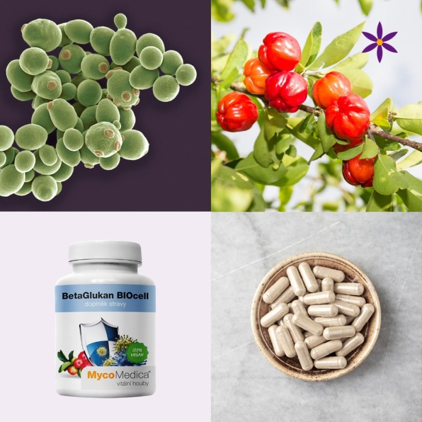 Čtvrtý produkt v balíčku ~ betaglukan ~ vegan kapsle 90 ks ~ přírodní štít