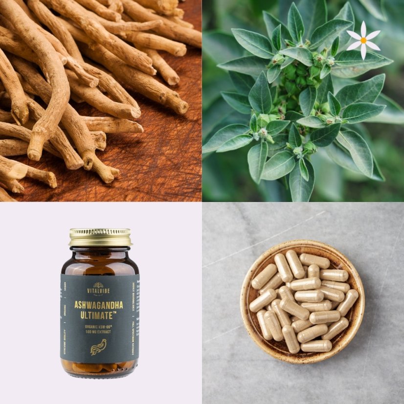 Ašvaganda ~ KSM66 extrakt kapsle ~ další produktové fotografie