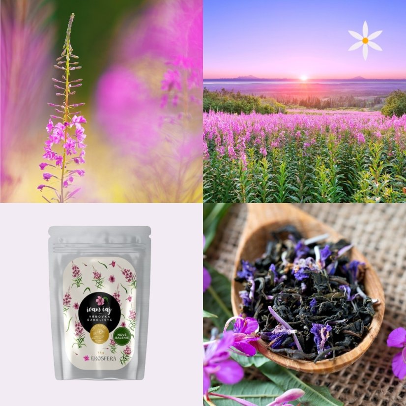 Třetí produkt v balíčku ~ Ivan čaj ~ lístky a květy vrbovky 75 g ~ tajemství praprababičky