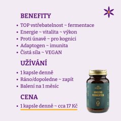Ženšen ~ fermentovaný extrakt kapsle ~ benefity, užívání a cena za den 