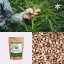 Konopné semínko neloupané ~ další produktové fotografie