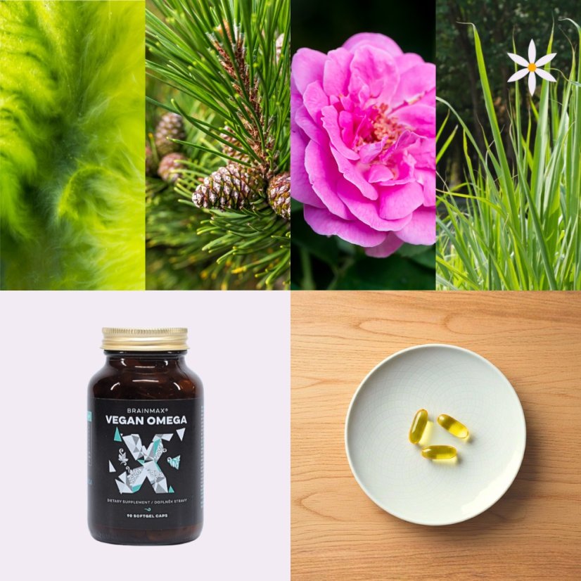 Vegan Omega 3 + D3 + K2 ~ další produktové fotografie