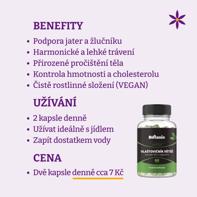 Vlaštovičník větší ~ benefity, užívání a cena za den