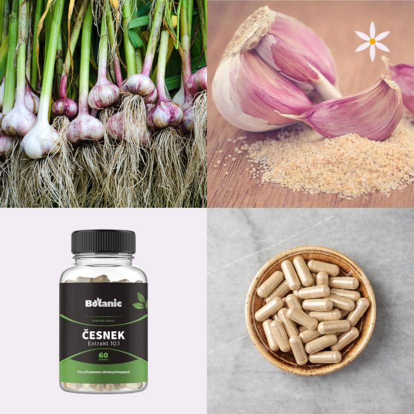 Česnek ~ extrakt vegan kapsle ~ další produktové fotografie