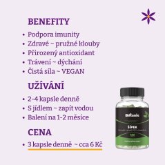 Šípek vegan kapsle ~ benefity, užívání a cena za den 