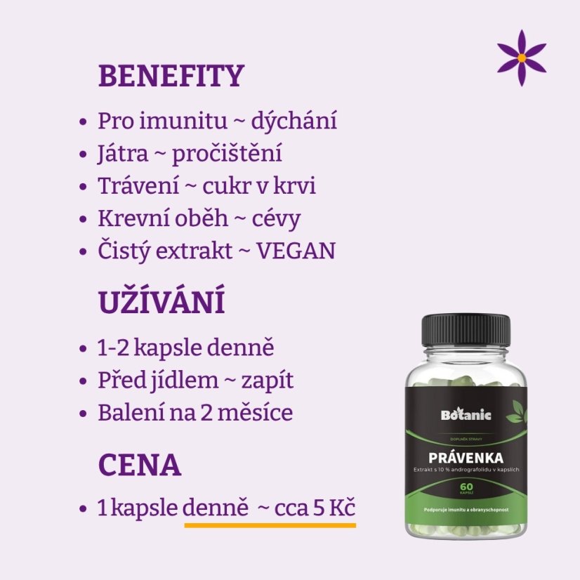 Právenka latnata ~ extrakt vegan kapsle ~ benefity, užívání a cena za den 